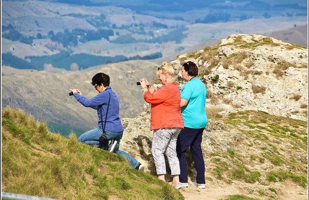 Hawkes Bay Scenic Tour