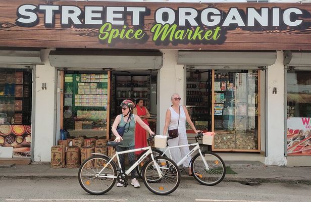 Good Morning Kochi Bicycle Tour