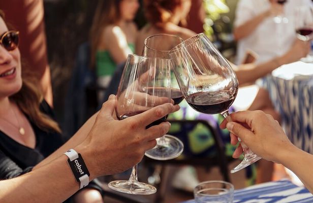 Mallorca Wine and Cheese Tasting