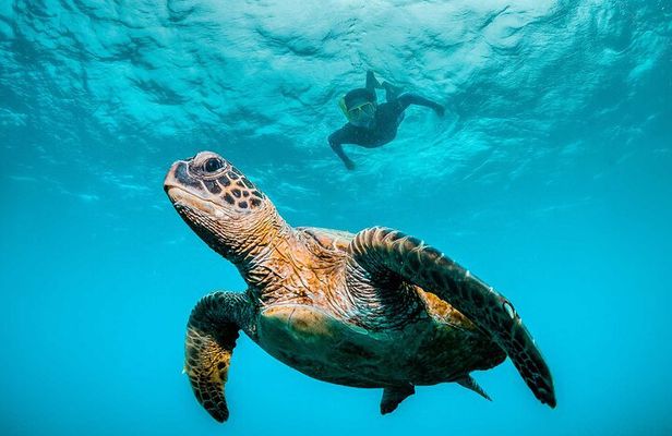 Huatulco Ocean & Reef Eco Adventures