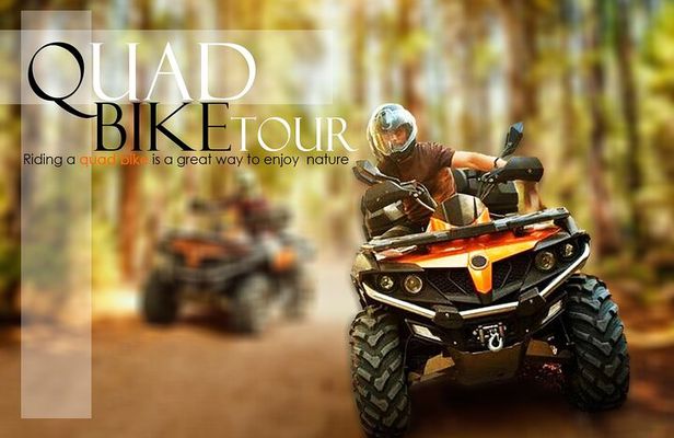 Quad Safari