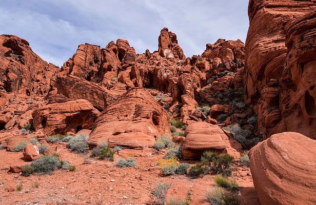 Combo Tour: Valley of Fire & Hoover Dam Full-Day Tour