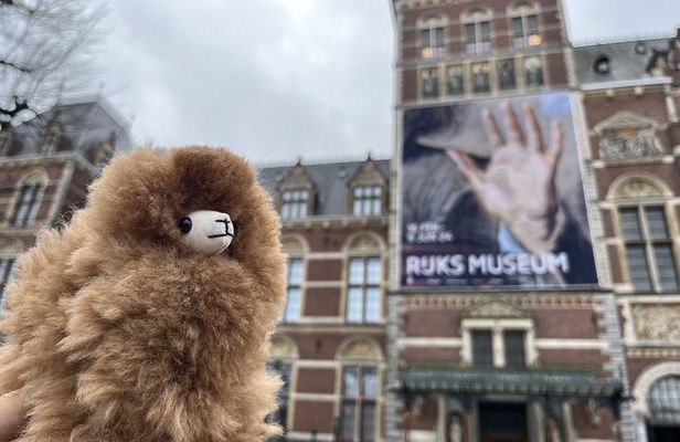 Rijksmuseum 3h Private Guided Tour & Entry Tickets