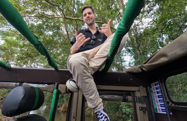 Minneriya National Park halfday Safari