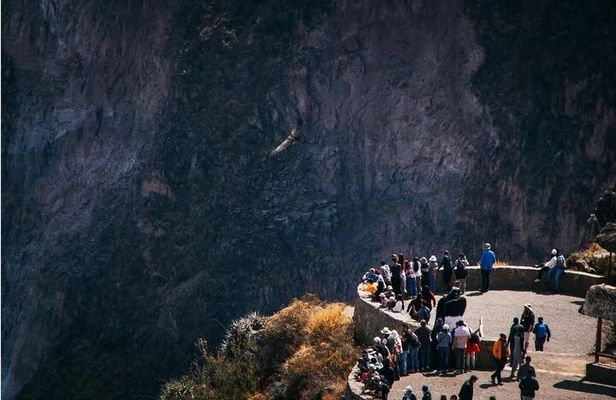 Explore the Colca Canyon From Arequipa 2 Days and 1 Night