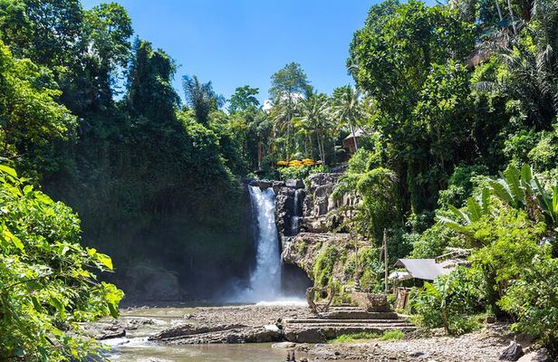 Ubud All-Inclusive Tour with Swing and Lunch