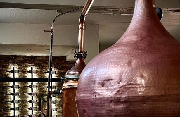 Farm-to-Glass Adventure: Olive Farm, Family Winery, Raki Tasting