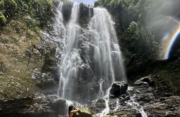 Chase Waterfalls - Discover a hidden 180ft rainforest gem
