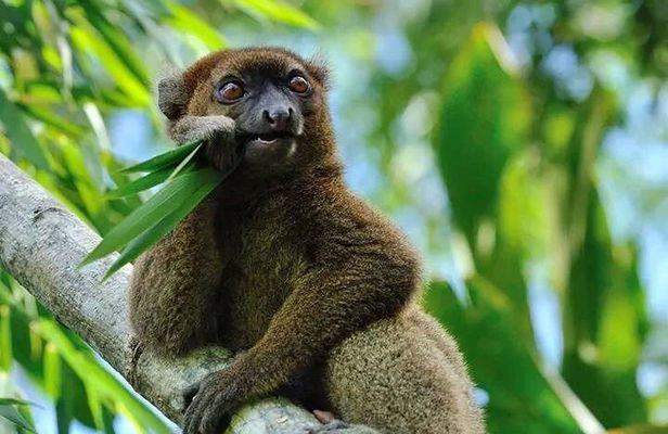 8 Day -RN7 Road trip tour to South Mangily Ifaty