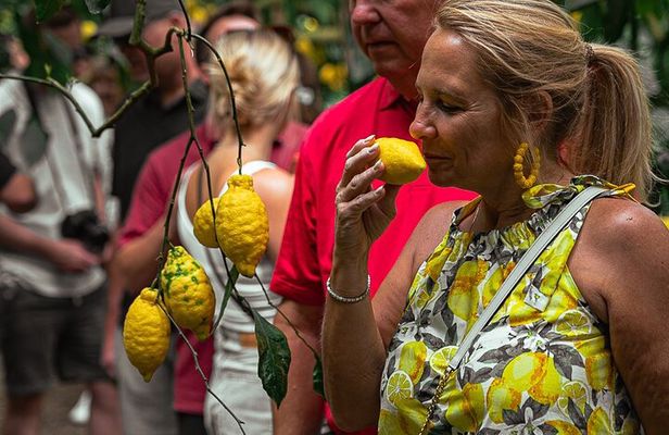 Sorrento Ape Tour, Lemon Garden, Mozzarella Show & Pizza Class