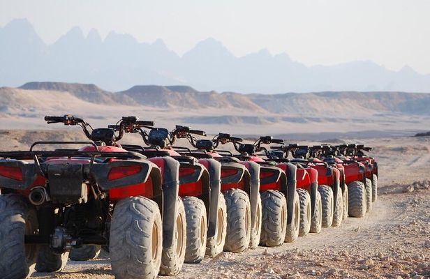 Dinner Party Super Safari Jeep, Quad & Camel Ride at Marsa Alam