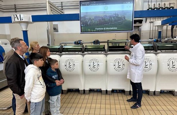 Olive Oil Tours and Tasting at Frantoio di Montalcino