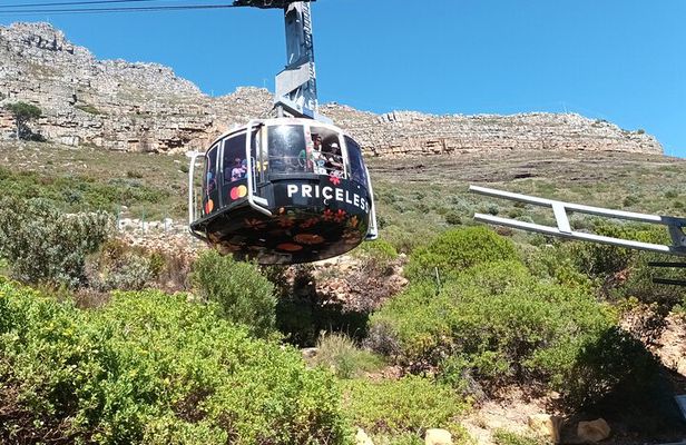 Robben Island and Table Mountain Experience