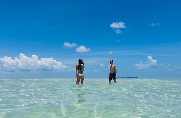Private Charter 6 Passenger Sandbar, Snorkel, Dolphins