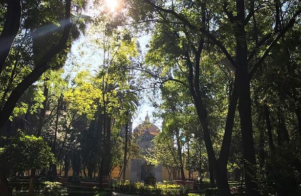 EXCLUSIVE TOUR of the Old Quarter of Coyoacan - small groups
