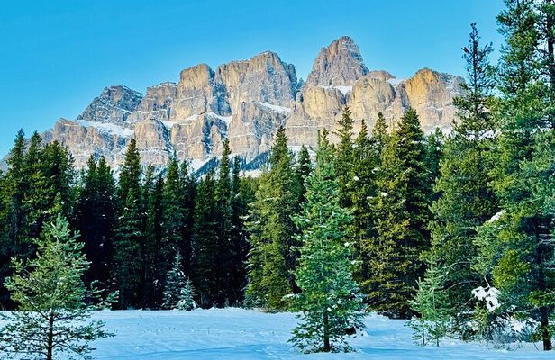 ShuttleBus 2way Banff to Lake Louise (1Hr) and Moraine Lake (1Hr)