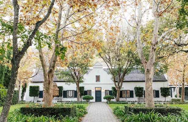 Indulge in South Africas Finest Premium Wines