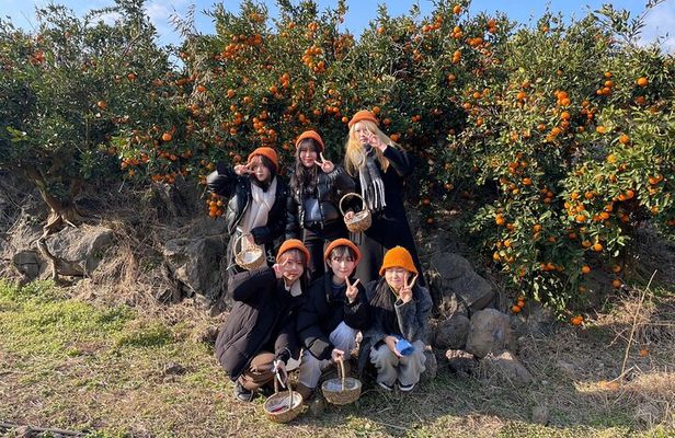 Jeju Unesco Eest course Package Private Van Guided Tour
