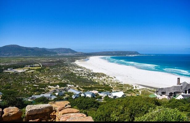 Private Cape Peninsula Table Mountain Penguin Colony Boulders