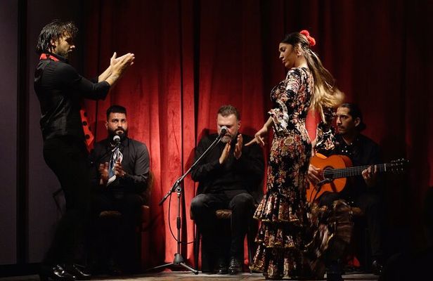 Flamenco Casa Sors & Guitar Museum with Optional Drink or Dinner