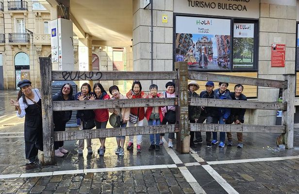 Pamplona on foot : History and Emotion of the Bulls of San Fermin