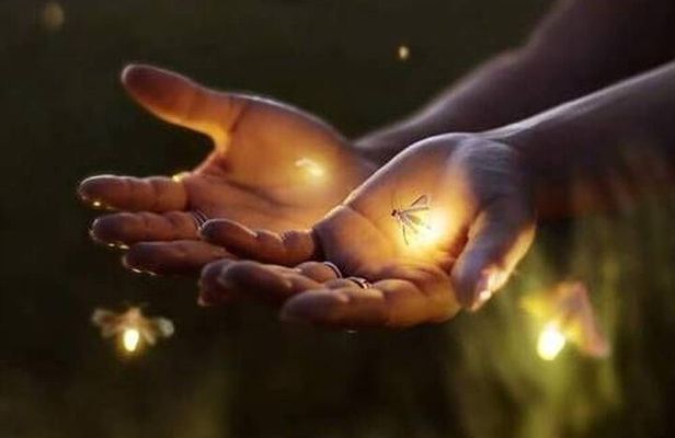 VIllage Firefly Night Tour - Ubud Bali