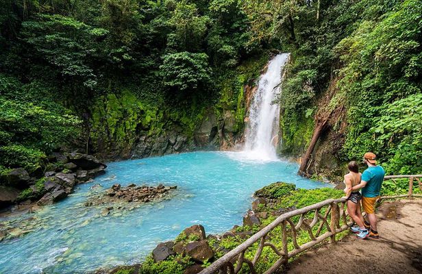 Sloth Discovery and Rio Celeste Waterfall