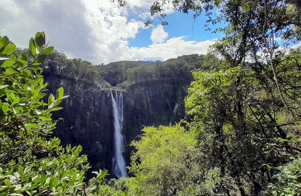 Port Macquarie day tour to Ellenborough Falls & Comboyne Rock