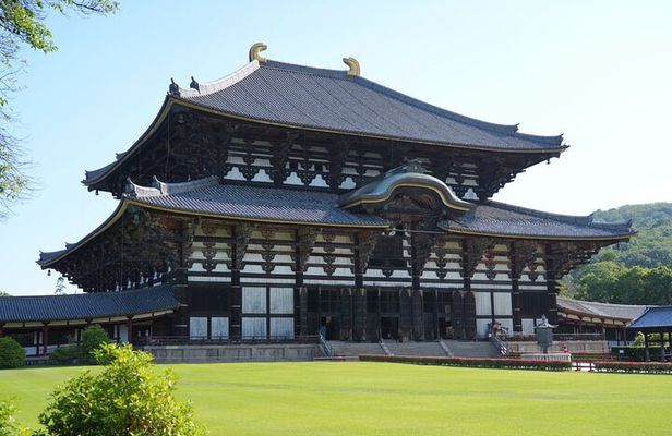 Nara Early Bird Tour (Kyoto Departure Option Available)
