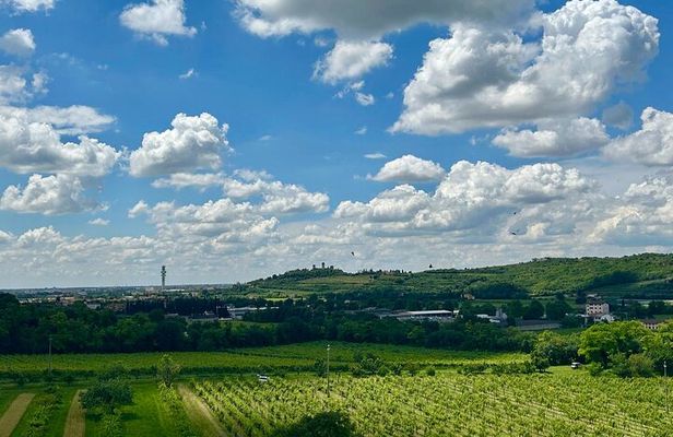 Italian cooking lesson in the hills of Verona