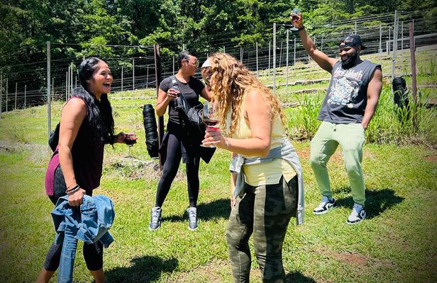 Dahlonega Wine & Dine Private Tour from Atlanta