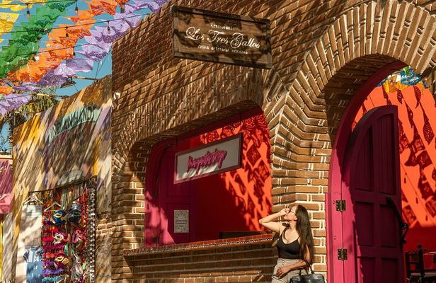 Art and Wine Evening City tour in San Jose del Cabo for Adults