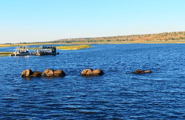 South Africa, Botswana and Zimbabwe Wildlife Adventure