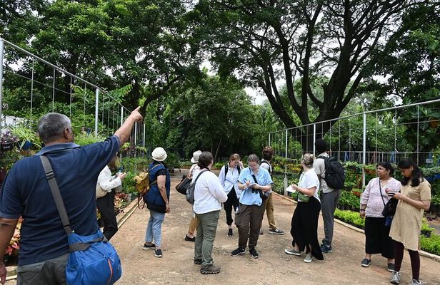 Lalbagh Garden Afternoon Walk + VV Puram Evening Food Street Walk