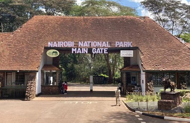 Nairobi National Park and Giraffe Center from Kenya with a Guide