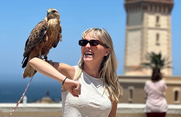 Luxury Private 4Hour Tour of Tangier