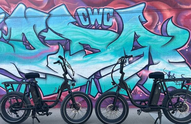 Guided Asheville E-bike Tour of River Arts, Mountains and Murals