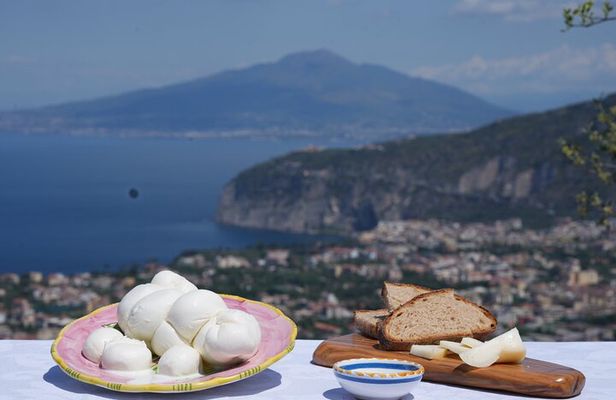 FARM LIFE -Food Immersion- an Authentic Italian Experience 