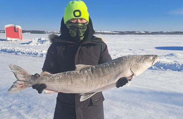Ultimate Ice Fishing with Jig Fishing Net Pull and Lunch