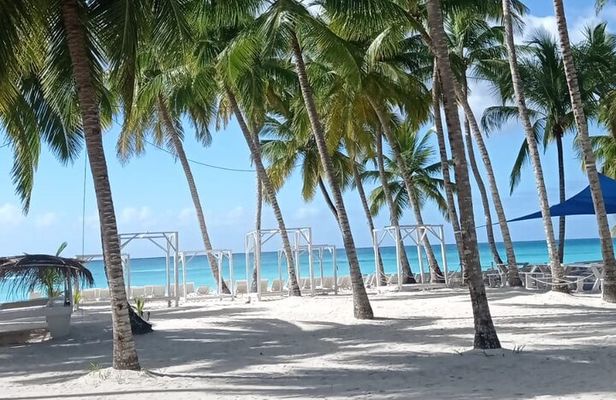 Saona Island Adventure