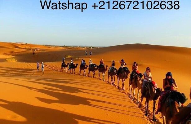 3 Days Luxury Camp Merzouga Camel Sandboarding from Fes back fes