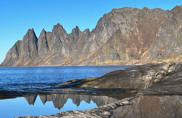 Feel Senja - around the island & more