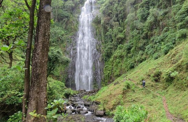 Private Materuni and Chemka Hotspring Tour