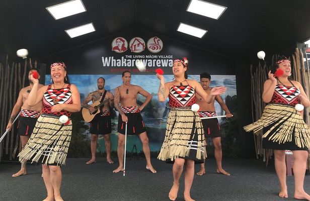 Guided Māori History and Culture Tour to Rotorua and Tauranga