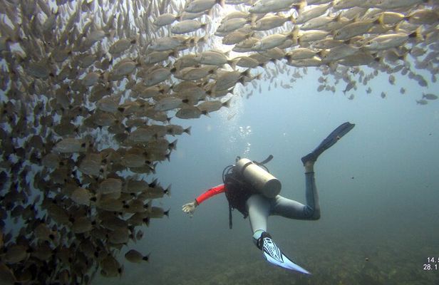 Discover Scuba Diving SSI Mini Course Tamarindo