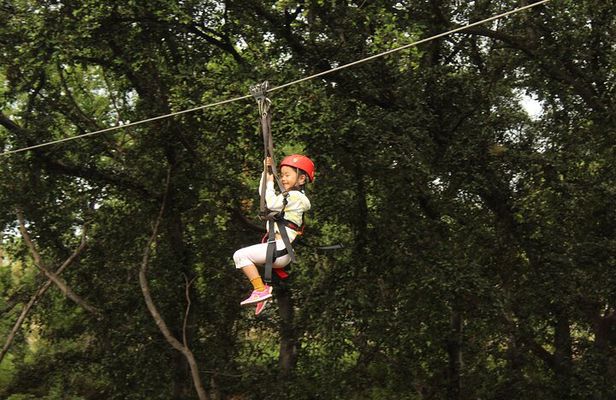 3 Zipline Adventure with Waikiki Transportation