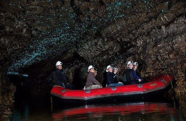 From Hamilton: Waitomo Glowworm & Cave Explorer Small Group Tour