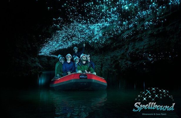 From Auckland : Spellbound Glow Worm Twin Caves Private Tour