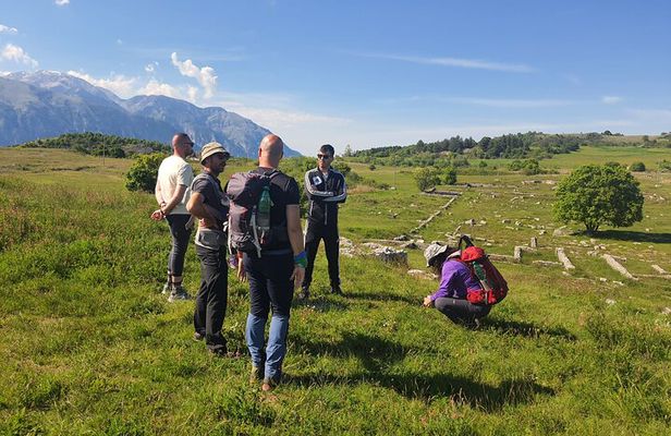 One day cheese making and tasting experience