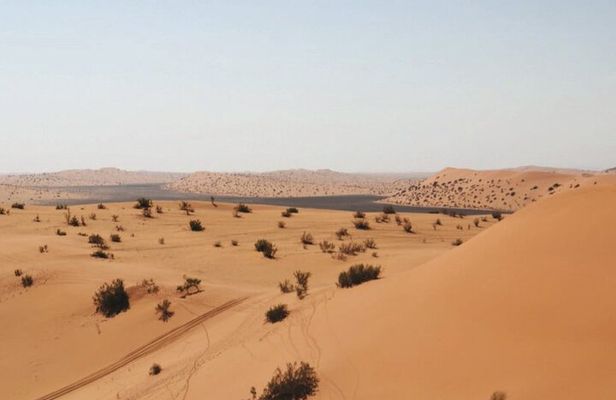 VIP Quad Biking and Camel Riding in Riyadh Red Sand Dunes